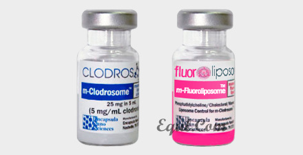 Mannosylated fluorescent-DiI macrophage depletion kit